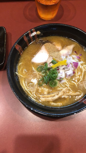 「濃厚鶏そば」@麺童 豊香の写真