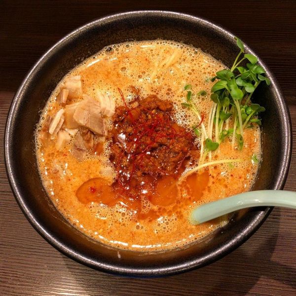 「豆助」@ライトニングファイヤーの写真