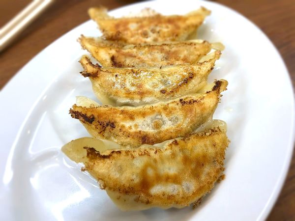 「焼き餃子(5ヶ)￥350」@麺屋 小桜の写真