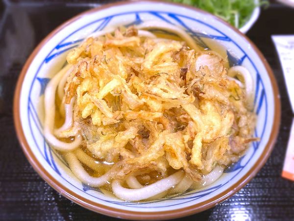 「かけ(並)￥273」@丸亀製麺 飯田橋サクラテラス店の写真