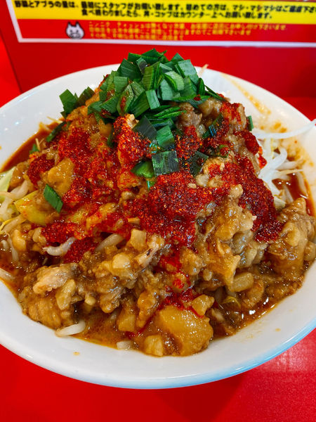 「凄い味噌ラーメン中、辛5アブラマシマシ」@立川マシマシ 太田店の写真