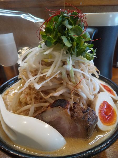 「【限定】白湯味噌850円」@麺屋 鶏口の写真