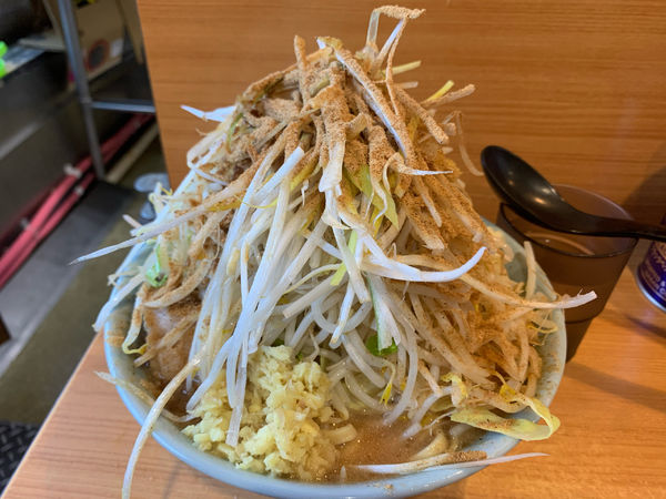 「小ラーメン　生姜　ネギ　和風BB ニンニク　野菜　脂」@ラーメン二郎 八王子野猿街道店2の写真