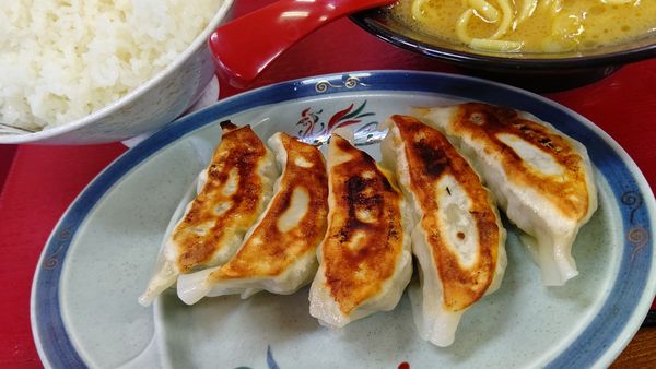 「餃子３００円」@ライスとらーめん立川家 いせさき店の写真