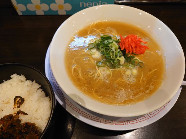 「朝ラーメン500円＋半ごはん150円」@博多らーめん ひまわりの写真