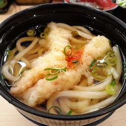 えびの天ぷらうどん