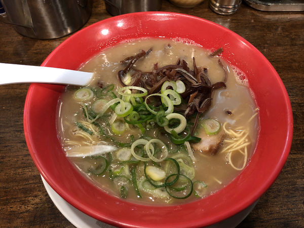 「九州メロディーラーメン」@九州とんこつラーメン メロディー 大宮店の写真