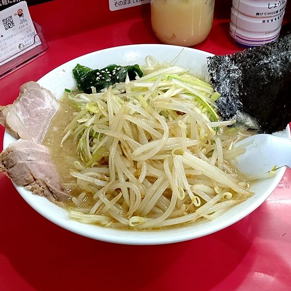 「かいざんラーメン(味噌味)＋ネギW」@ラーメン かいざん 新小岩店の写真