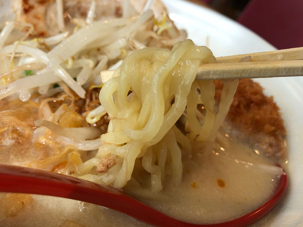 「広島味噌ラーメン　869円」@田所商店 タンタンメン部 WBG店の写真