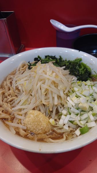 「小ラーメン+ほうれん草+ネギ+生卵」@麺屋 桐龍の写真