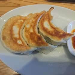 ラーメン730円、焼き餃子3ヶ290円