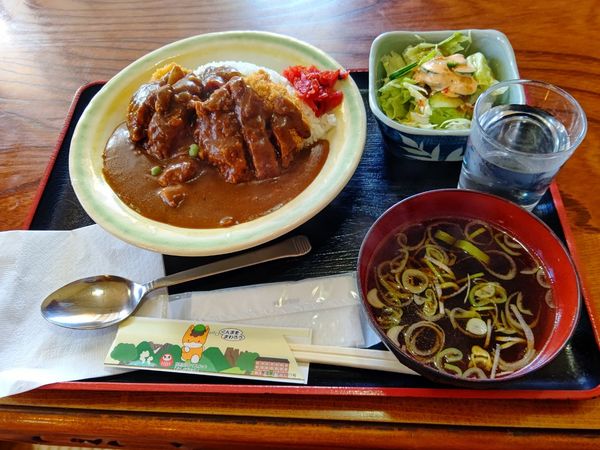 「カツカレー(並盛)1,100円」@ニュー飯店の写真