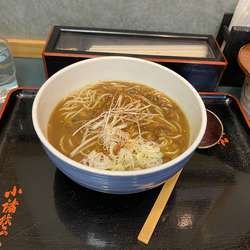 カレー南蛮そば 490円