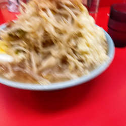 富士丸ラーメン　麺少なめ