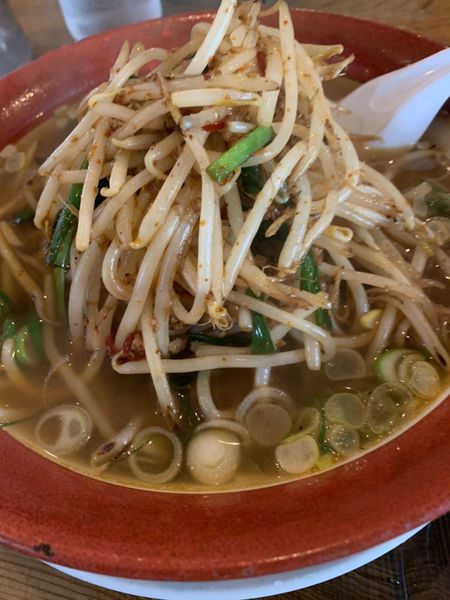 「とんとんラーメン」@とんとんの写真