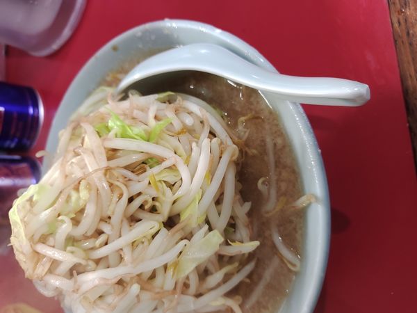 「普通　野菜カラメにんにく」@ラーメン大 名古屋店の写真