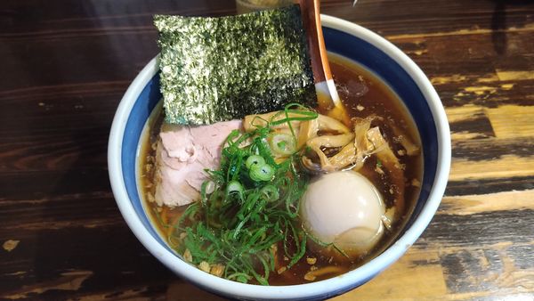 「味玉醤油らーめ¥800-」@とうかんやの写真