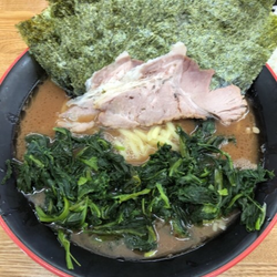 ノリホウレンソウ