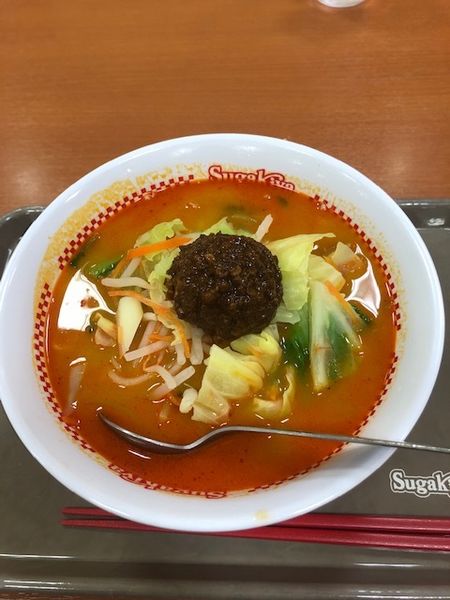 「野菜たっぷり担々麵」@スガキヤ 安城イトーヨーカドー店の写真
