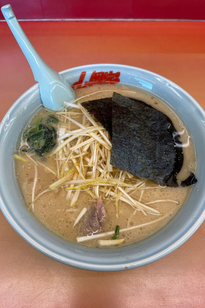 「醤油ネギラーメン」@ラーメン山岡家 野田店の写真