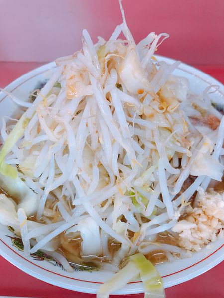 「豚大 900円」@ラーメン二郎 環七一之江店の写真