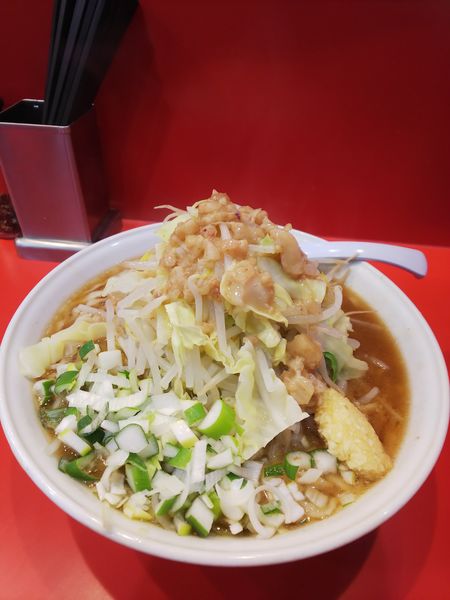 「ラーメン(豚２枚)ヤサイ&ニンニク少し増し、アブラ増し、ネギ」@麺屋 桐龍の写真