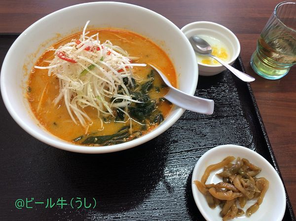 「担々麺餃子定食(800円)餃子５個増し(200円)」@中華菜館 林海餃子酒場の写真