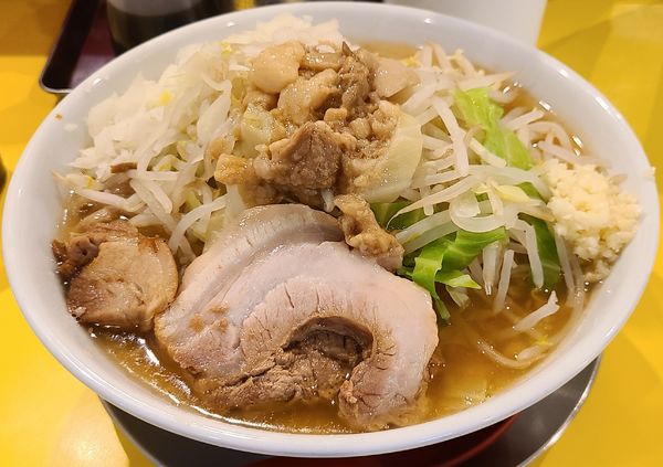 「味噌らーめん(大)」@ラーメン ヒカリの写真