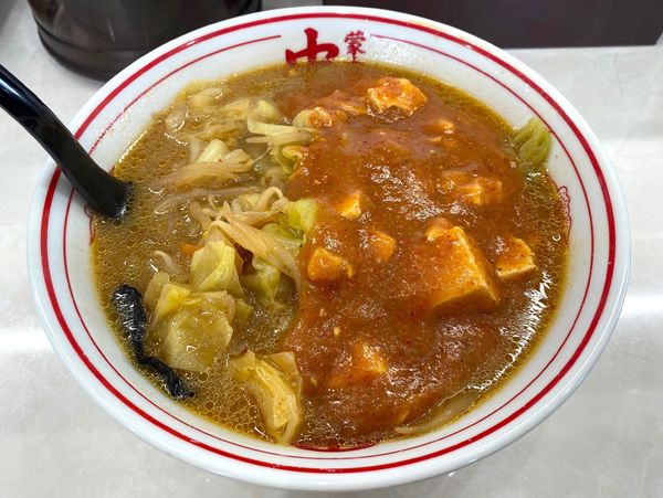 「蒙古タンメン」@蒙古タンメン中本 高崎店の写真