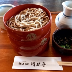 献上そば 羽根屋 伝承館店の画像