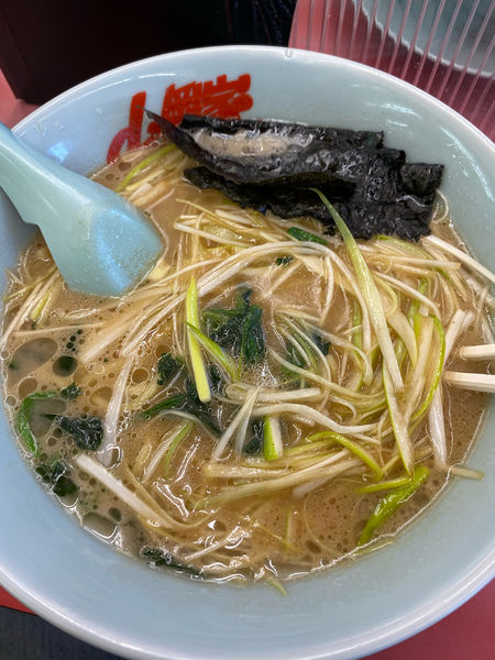 「醤油ネギラーメン」@ラーメン 山岡家 高崎倉賀野店の写真