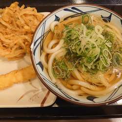 かけ並+いか天、野菜かき揚げ(570円)