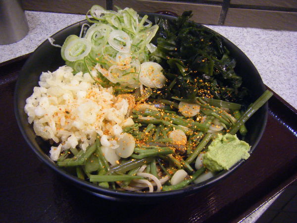 「冷やし山菜そば（温玉抜き、ネギ盛り）」@そば処 かめや 新橋店の写真