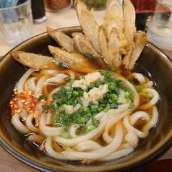 かけうどん495円＋ごぼ天121円 他いろいろ