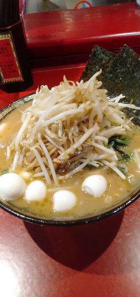 「中盛チャーシュー麺うずら筍もやし」@厚木家の写真