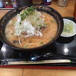 味噌+唐揚げライス