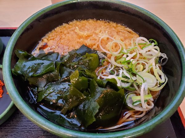 「かけそば＋わかめ」@ゆで太郎 長者町店の写真