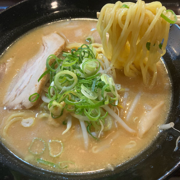 「味玉濃厚味噌」@無双 蒲田南店の写真