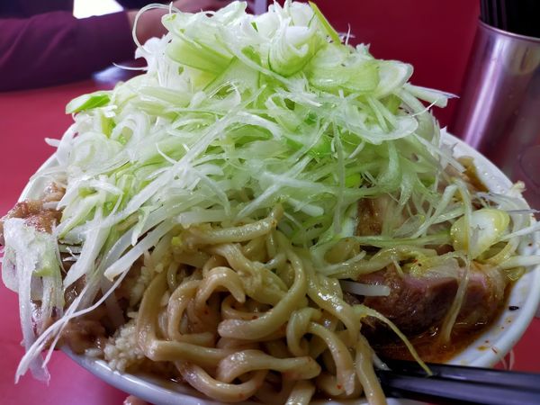 「大・つけ味・葱（麺硬め・脂・にんにく）」@ラーメン二郎 桜台駅前店の写真