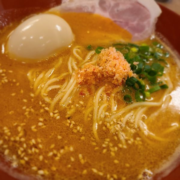 「海老味噌拉麺+味玉」@えびそば金行 つくば店の写真