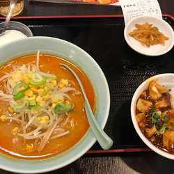 味噌ラーメン＋ミニ麻婆丼
