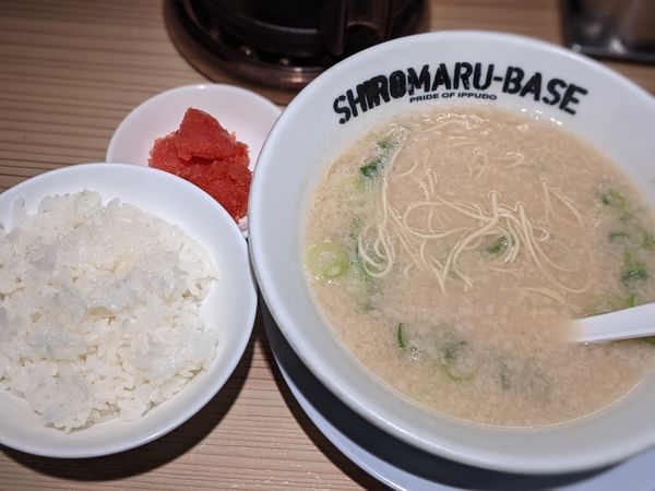「朝ラーとんこつ」@一風堂 SHIROMARU-BASE 梅田店の写真