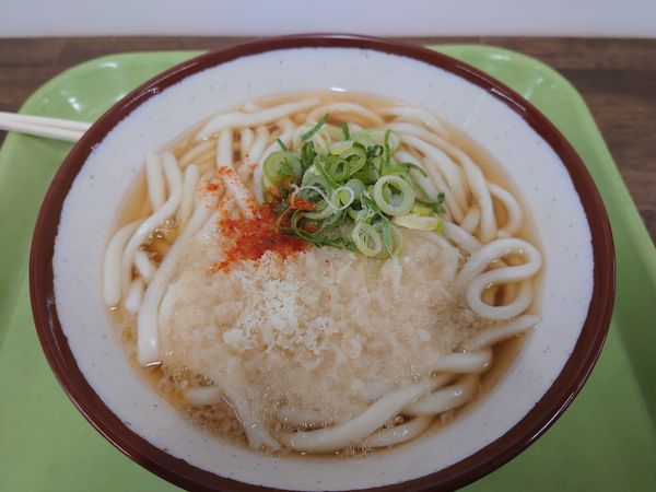 「たねきうどん280円」@三角茶屋 豊吉うどん JR宮崎店の写真