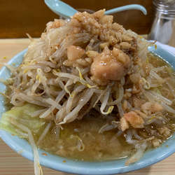 ラーメン麺半分　ブタかすアブラ