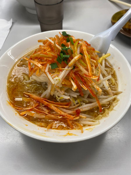 「辛味噌ネギラーメン」@ガキ大将 川崎鷺沼店の写真