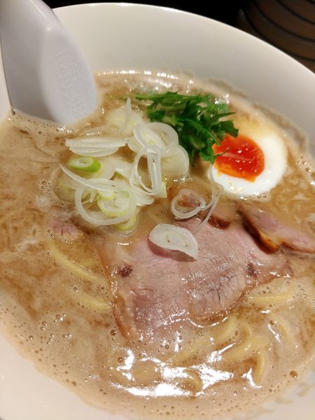 「濃厚親鶏豚骨魚介だしらー麺」@百々福の写真