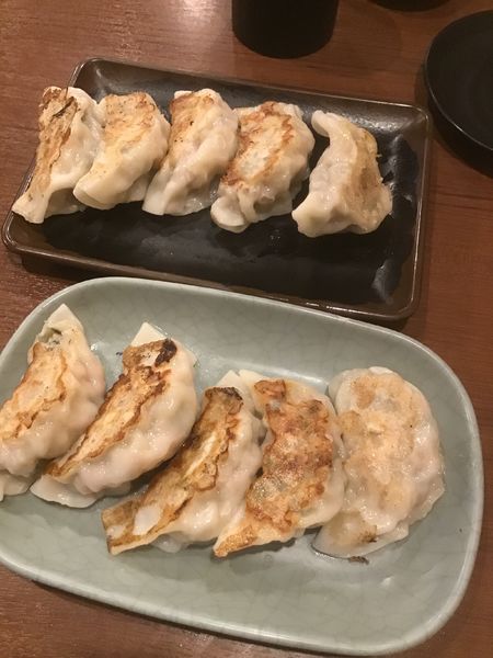「餃子390円＋税(豚・鳥)」@鳥道酒場 上野店の写真