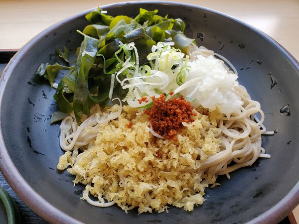 「朝そば・鬼おろし・わかめ変更・冷やし」@ゆで太郎 長者町店の写真