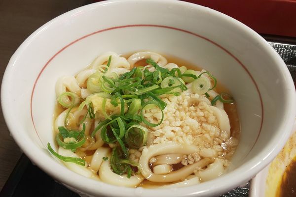 「冷やしハイカラうどん（200円）」@なか卯 末広町店の写真