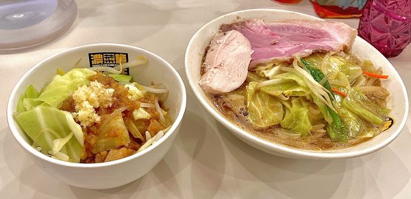 「濃菜麺+ジロベジ」@濃菜麺 井の庄 荻窪店の写真
